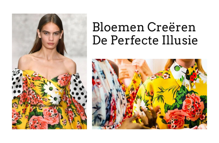 Creëer perfecte illusie Website sjabloon