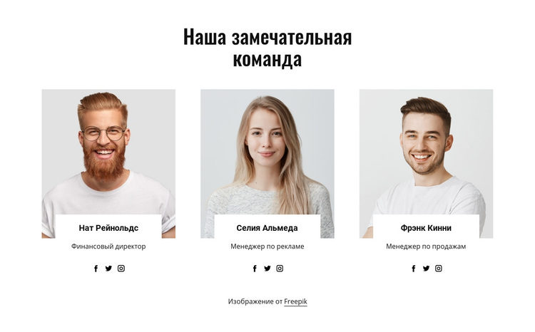 Наша замечательная команда WordPress тема