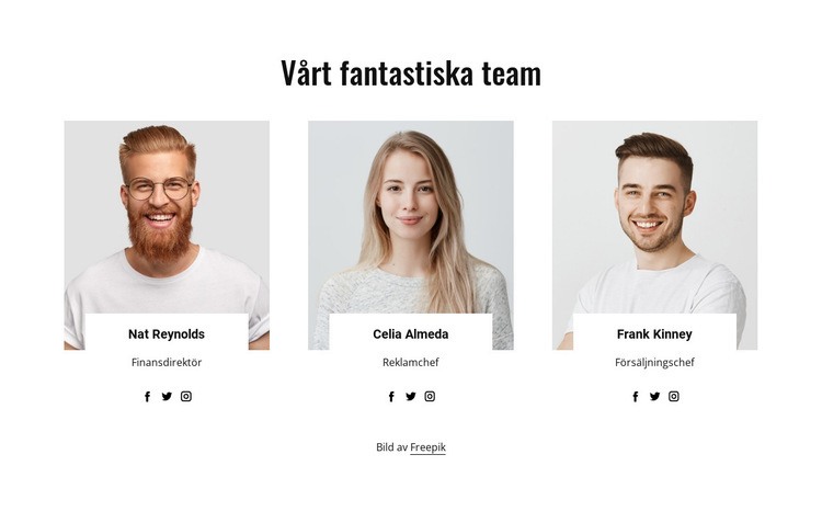 Vårt fantastiska team Mall