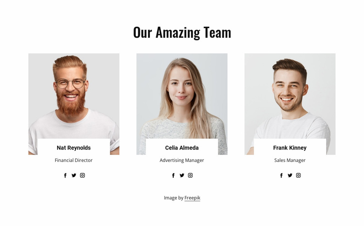 Our amazing team Landing Page