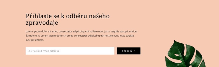 Přihlášení k odběru bulletinu Šablona HTML