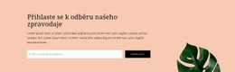 Přihlášení K Odběru Bulletinu – Nejlepší Téma WordPress