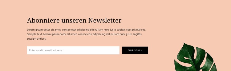 Newsletter-Abonnement Website-Modell