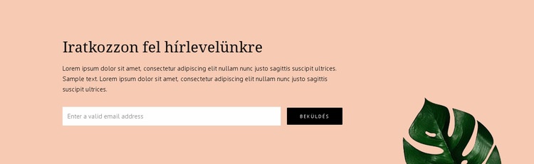 Hírlevél feliratkozás WordPress Téma