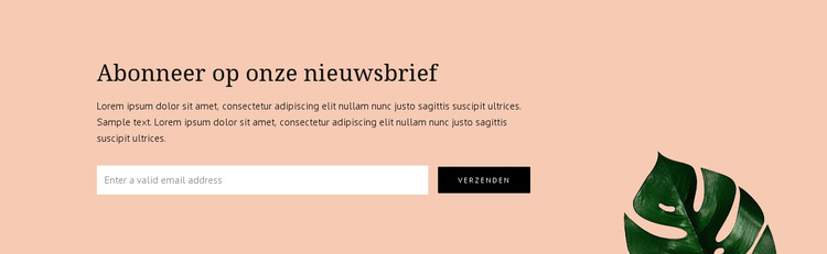 Nieuwsbrief abonnement HTML-sjabloon