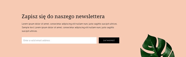 Subskrypcja newslettera Kreator witryn internetowych HTML