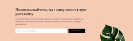 Подписка На Новостную Рассылку Шаблон HTML5 И CSS3