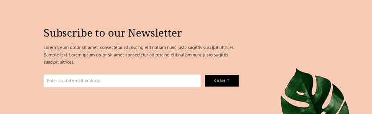 Newsletter subscription Web Design