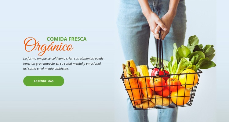 Alimentos orgánicos frescos Maqueta de sitio web