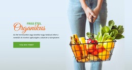 Friss Bioélelmiszer - Egyszerű Kialakítás