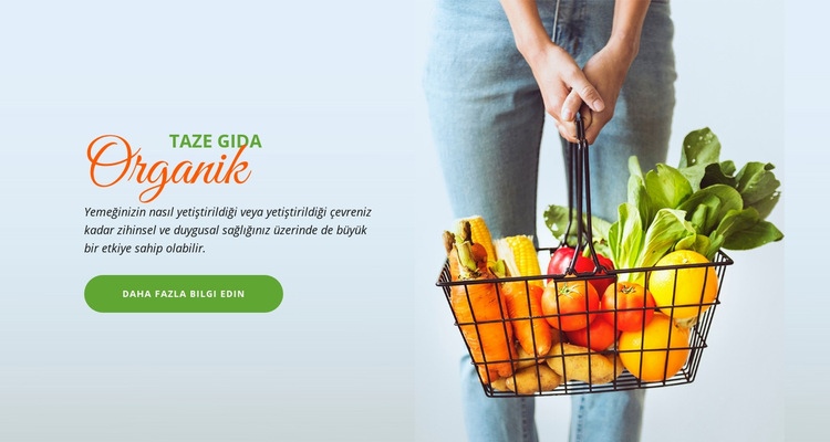Taze Organik Gıda Açılış sayfası
