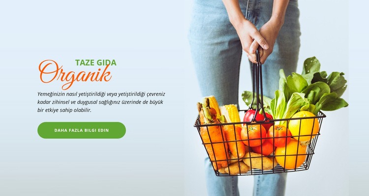 Taze Organik Gıda Web sitesi tasarımı