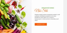 Šablona Návrhu Pro Biopotraviny