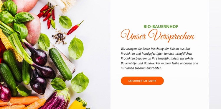 Bio-Lebensmittel Website-Modell