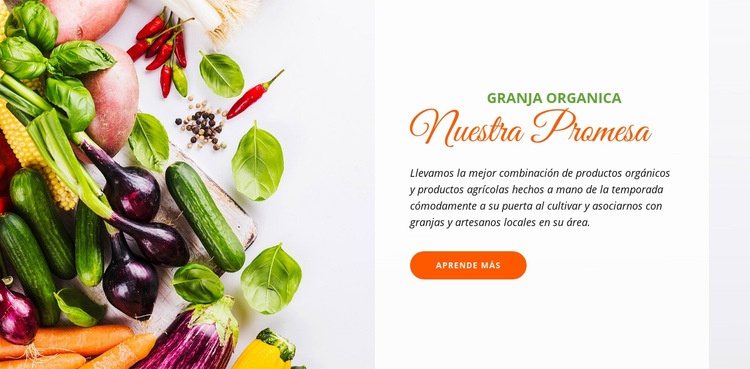 Alimentos orgánicos Maqueta de sitio web