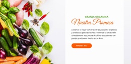 Alimentos Orgánicos: Plantilla HTML5 Adaptable