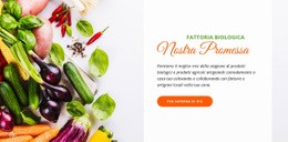 CSS Gratuito Per Cibo Organico