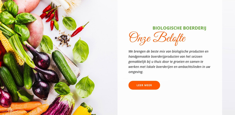 Biologisch voedsel WordPress-thema