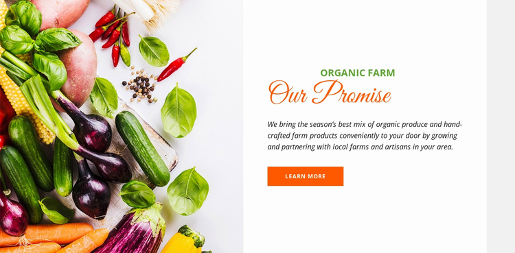 Organic food One Page Template