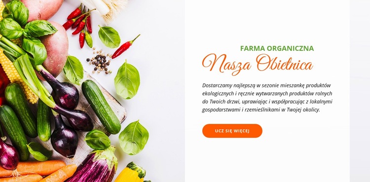 Jedzenie organiczne Makieta strony internetowej
