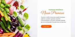 CSS Grátis Para Comida Orgânica