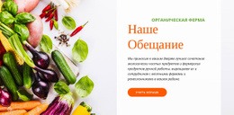 Адаптивный HTML Для Органическая Еда