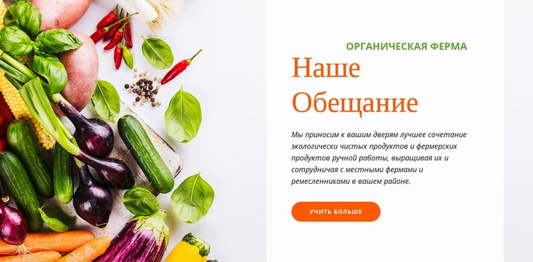Органическая еда Дизайн сайта