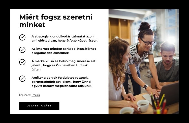 Miért fogsz szeretni minket CSS sablon