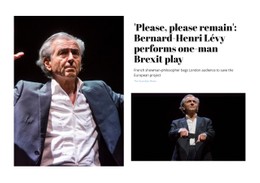 Brexit Play Free CSS Website