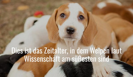 Website-Inspiration Für Süßeste Welpen