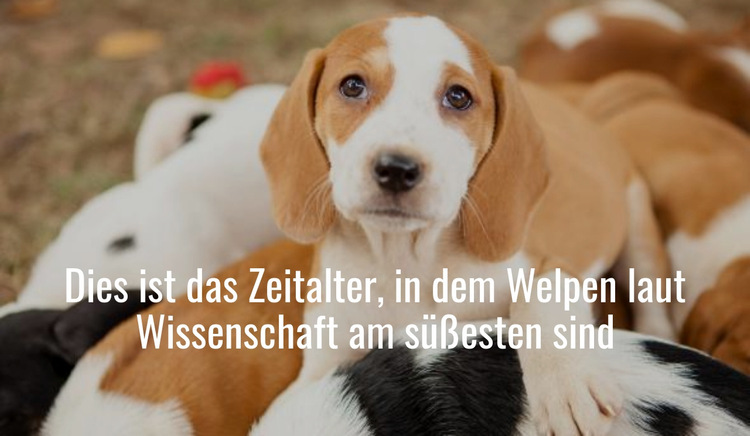 Süßeste Welpen Website-Vorlage