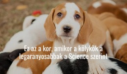 A Legaranyosabb Kölykök – Reszponzív Kialakítás