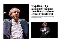 Brexit Play - Prachtig WordPress-Thema