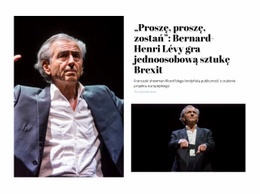 Najlepszy Projekt Strony Internetowej Dla Brexit Play