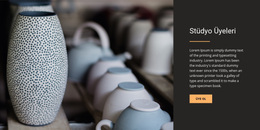 Stüdyo Üyeleri Için En Iyi WordPress Teması