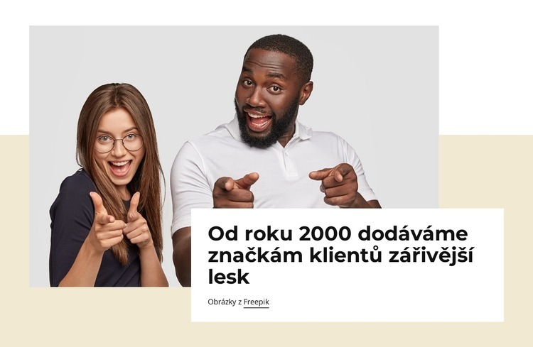 Reklama, design a identita značky Šablona webové stránky