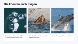 HTML5-Vorlage Das Könnte Dir Auch Gefallen Für Jedes Gerät