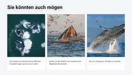 Das Könnte Dir Auch Gefallen – Bestes Kostenloses Joomla-Template