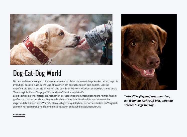 Futter für Hund Website Builder-Vorlagen