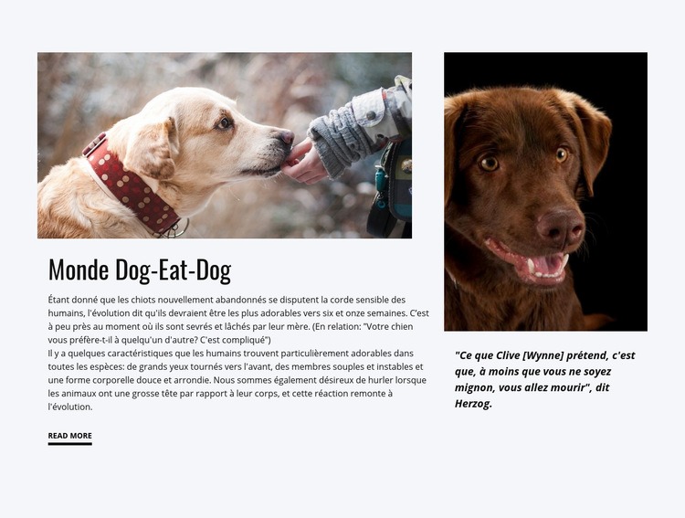 Nourriture pour chien Modèles de constructeur de sites Web