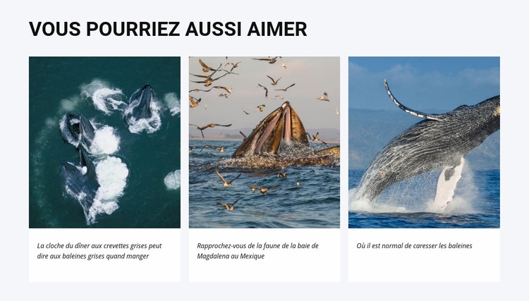 Vous pourriez aussi aimer Page de destination