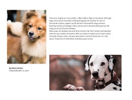 Dog Article