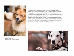 Articolo Per Cani - Modello Web