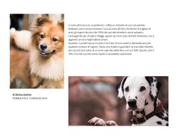 Articolo Per Cani