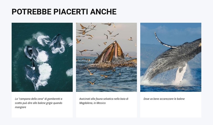 Potrebbe piacerti anche Modello CSS