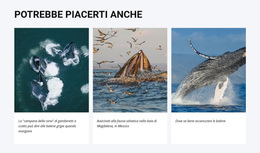 Potrebbe Piacerti Anche #Wordpress-Themes-It-Seo-One-Item-Suffix