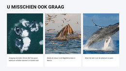 U Zou Ook Kunnen Houden Van - HTML-Sjabloon Downloaden