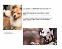 Dog Artikel - HTML5-Sjabloon Voor Één Pagina