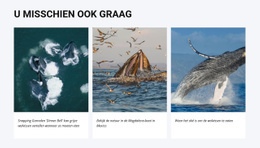 U Zou Ook Kunnen Houden Van - Gratis Websitesjabloon