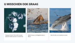 U Zou Ook Kunnen Houden Van - Gratis CSS-Thema